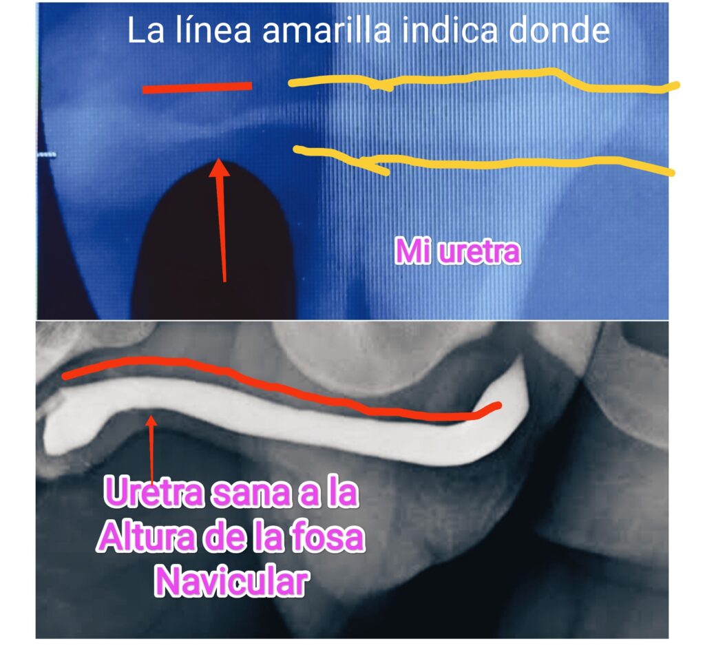 jose andres olivo garate