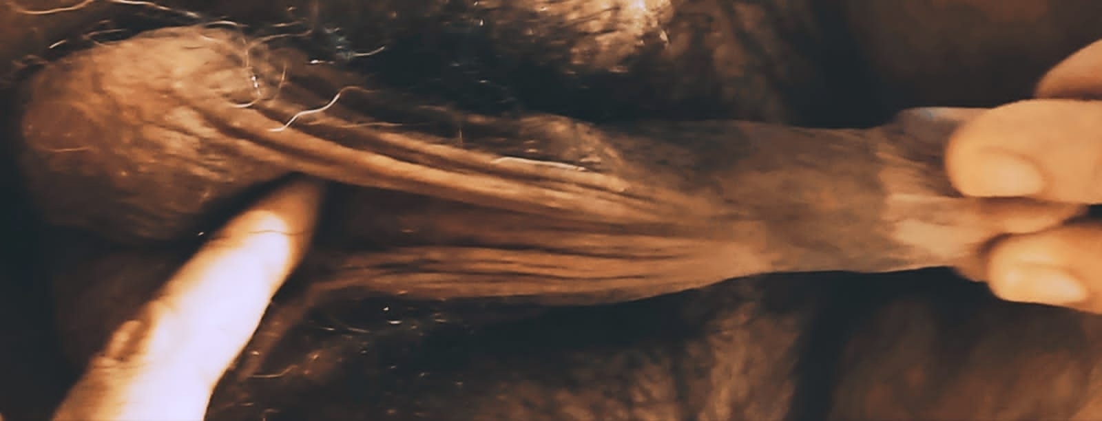 jose andres olivo garate