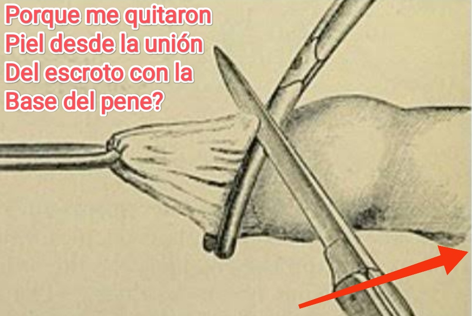 jose andres olivo garate