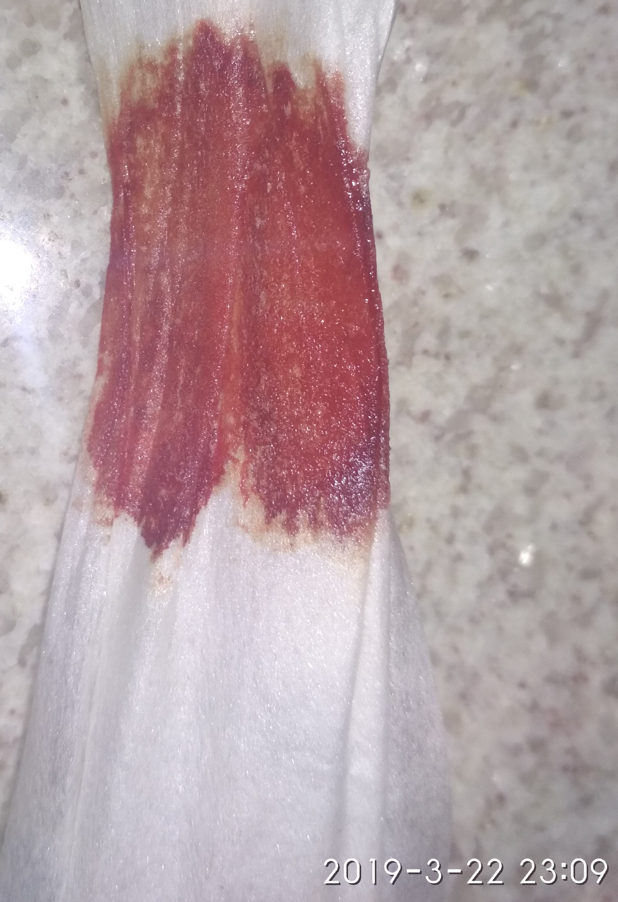 jose andres olivo garate