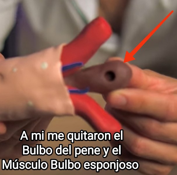 jose andres olivo garate